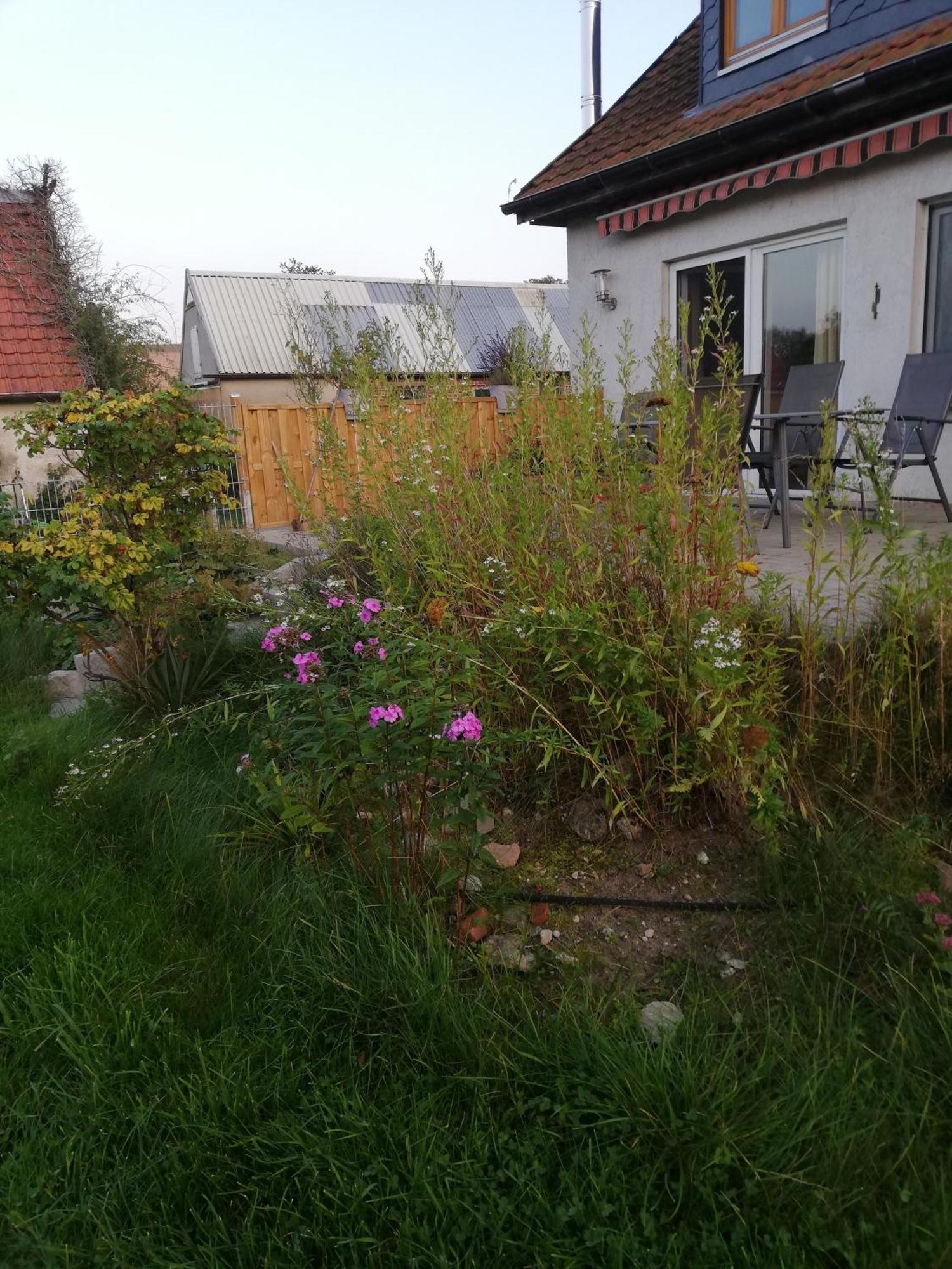 Ferienwohnung Wittenburg Extérieur photo